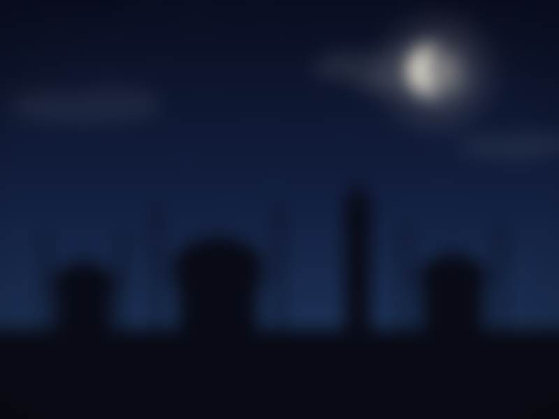 Istanbul Skyline, night. A picture from the islamicvisuals catalog.