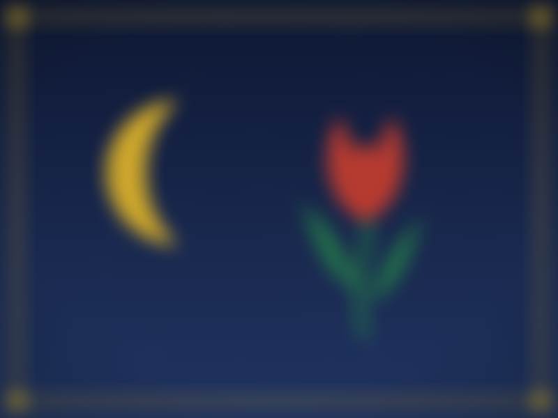 Crescent and Tulip. A picture from the islamicvisuals catalog.